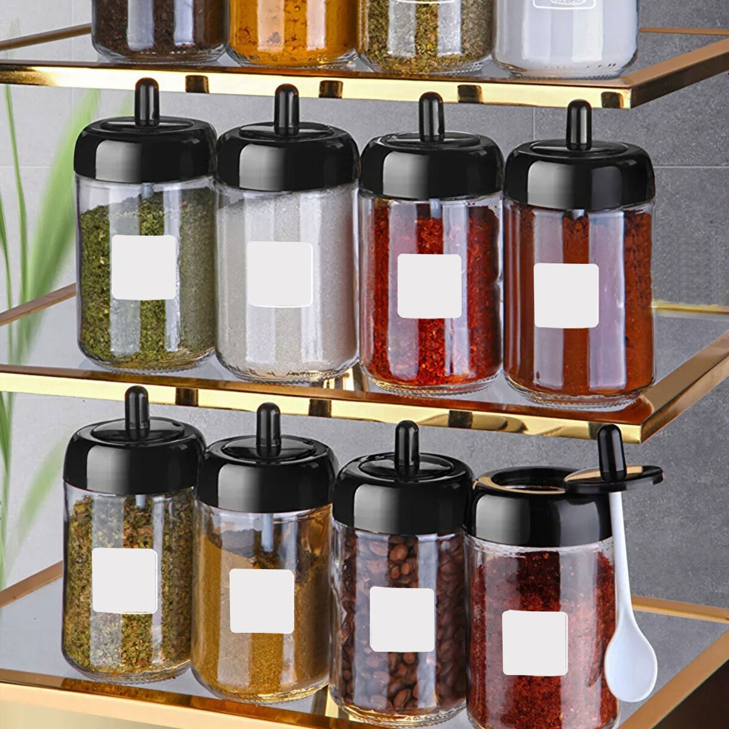 Gewürzbehälter Set Glas 12-Teilig 300ml