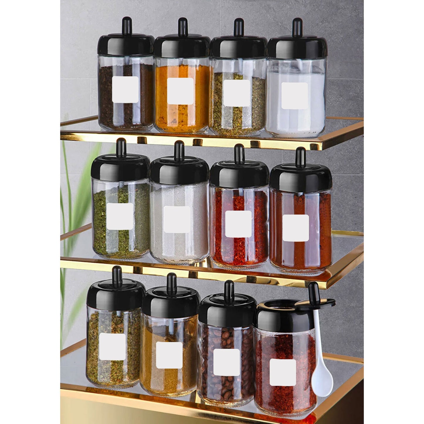 Gewürzbehälter Set Glas 12-Teilig 300ml