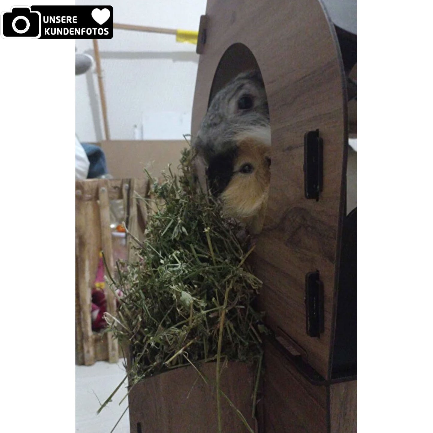XL Kaninchenhaus mit Futterstation