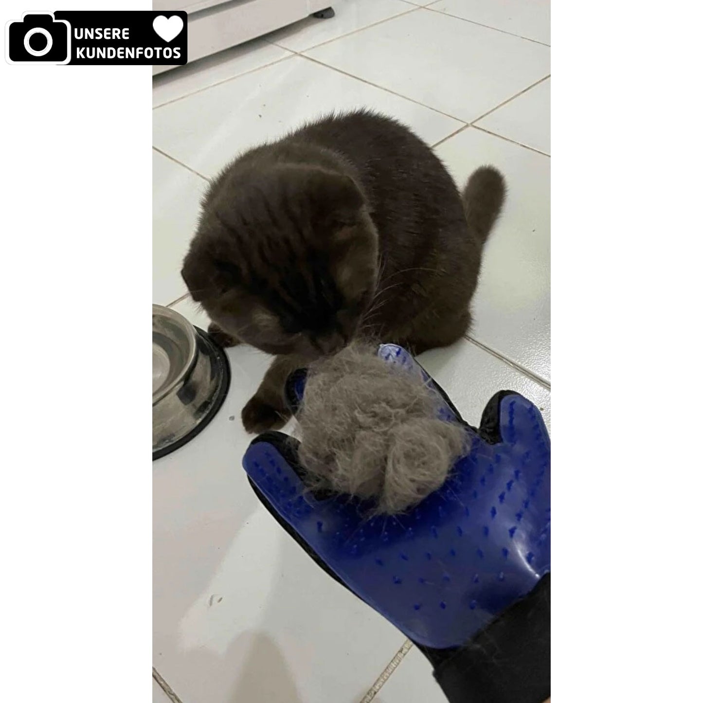 Rechtshändiger Handschuh zur Fellpflege für Katzen und Hunde