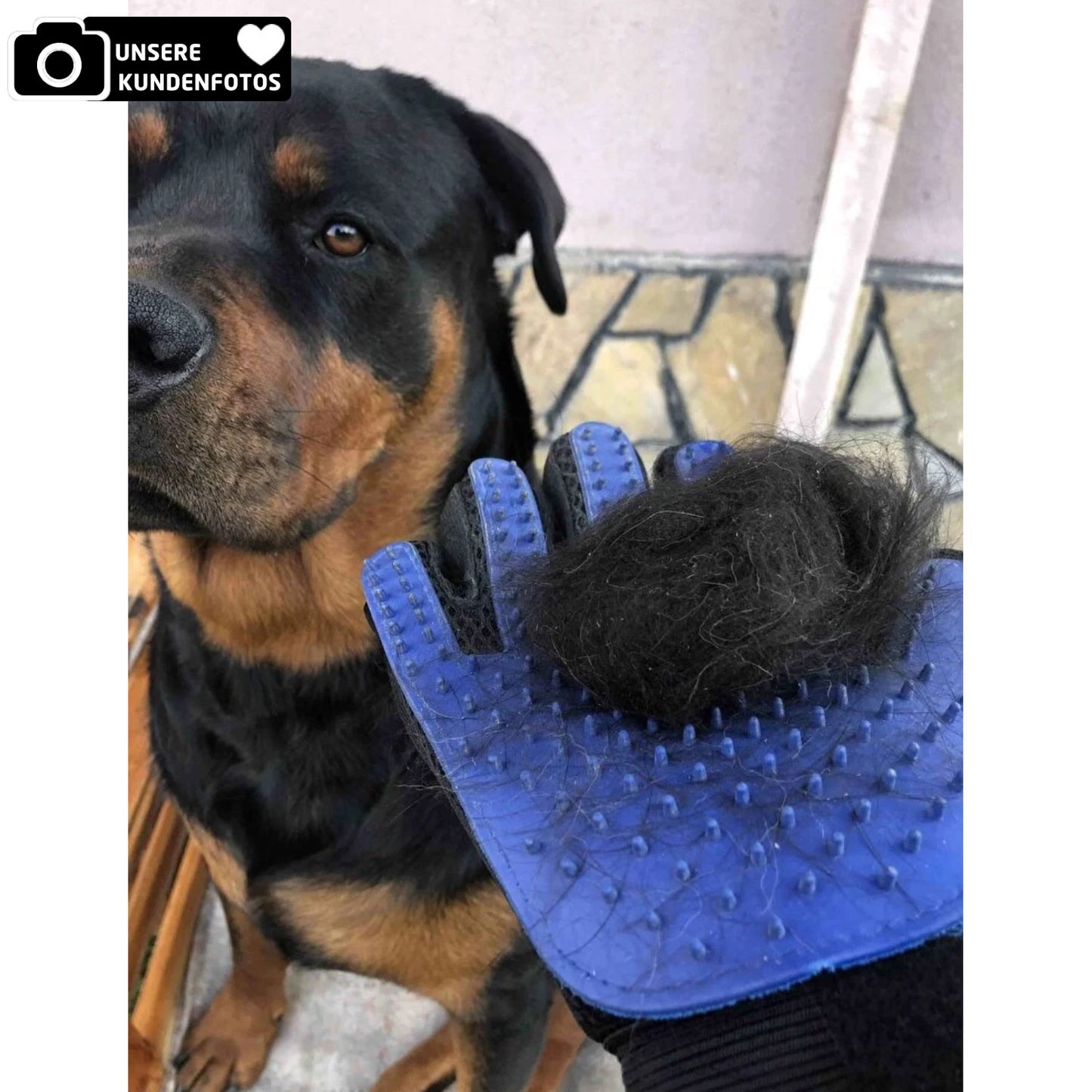 Rechtshändiger Handschuh zur Fellpflege für Katzen und Hunde