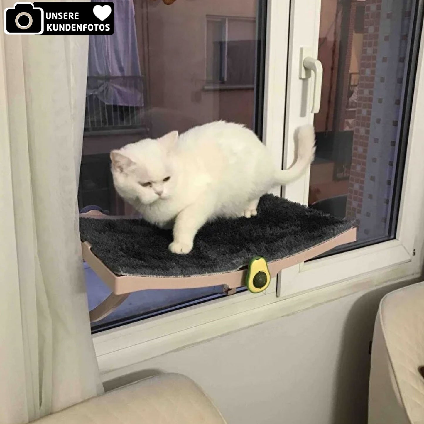 Fenster-Katzenliege in 4x Farben