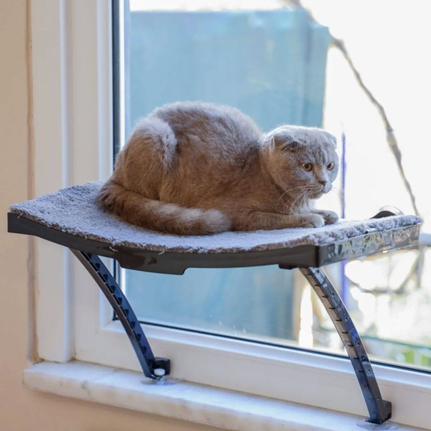 Fenster-Katzenliege in 4x Farben