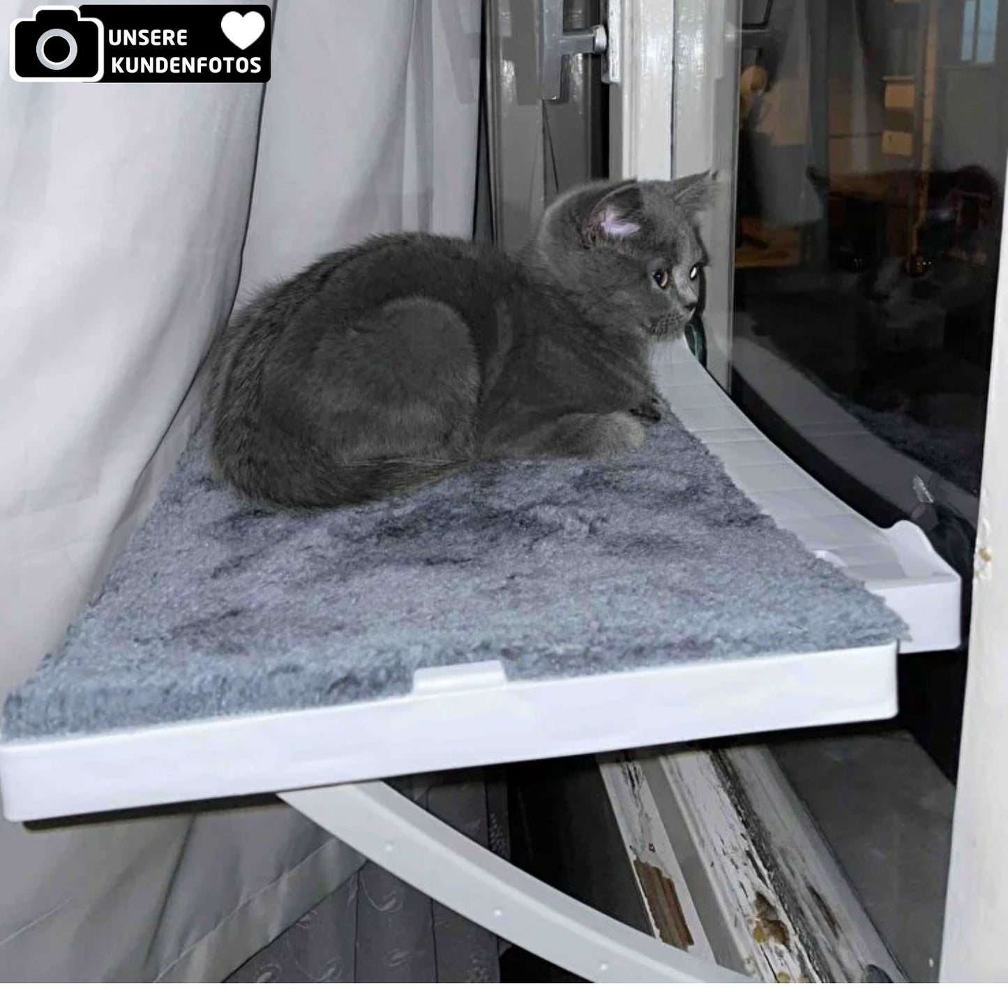 Fenster-Katzenliege in 4x Farben