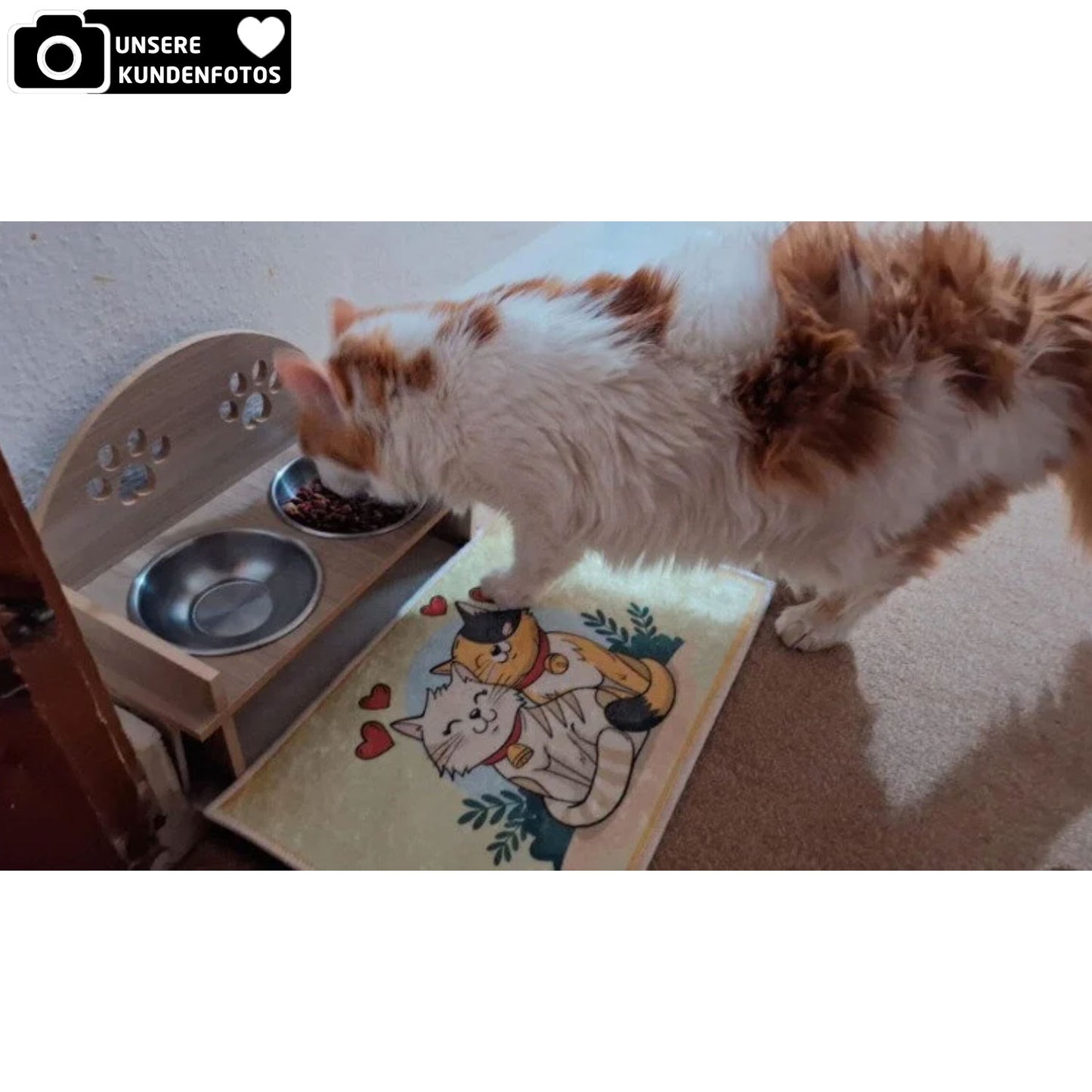 Futternapf für Katzen doppeltseitig