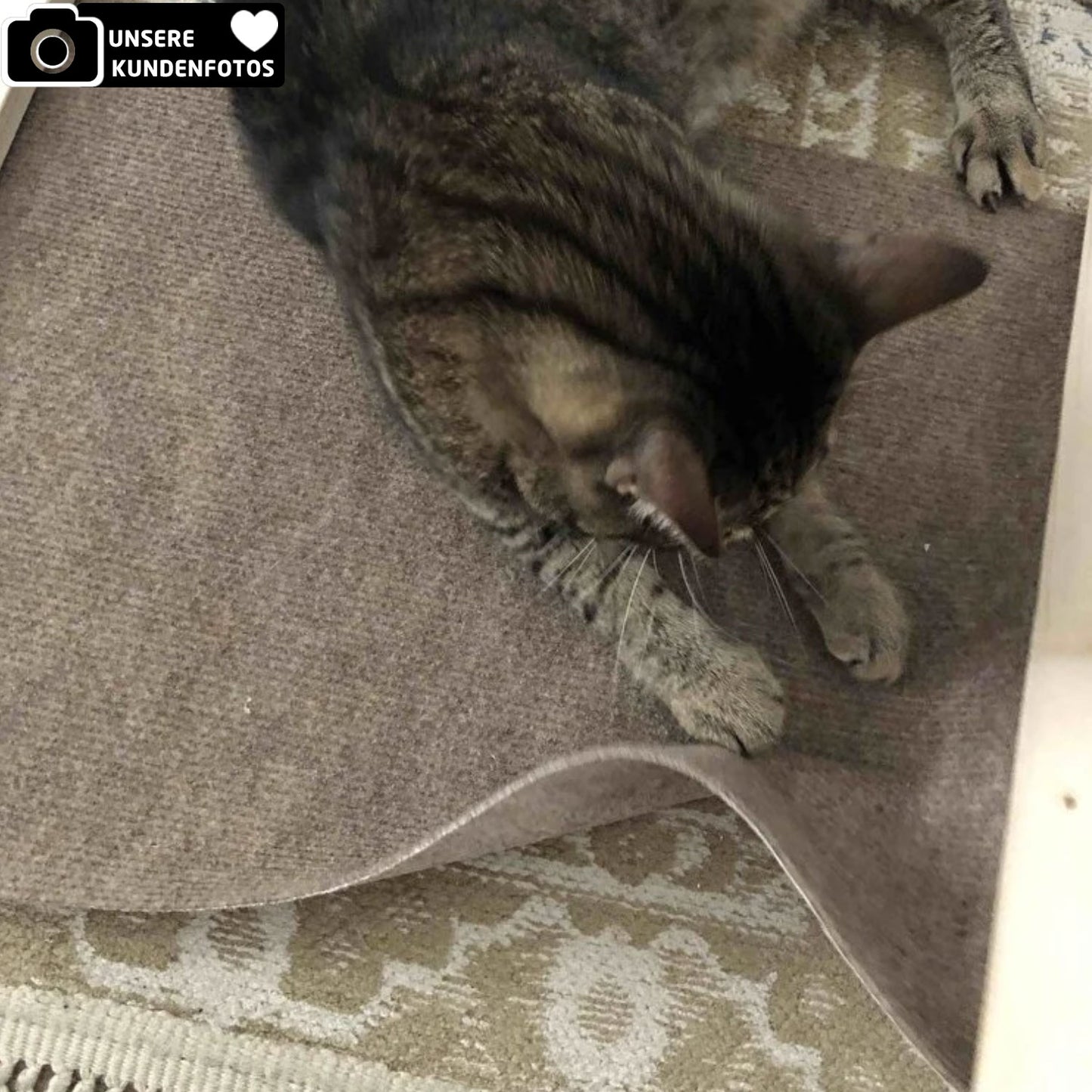 Kratzmatte für Katzen
