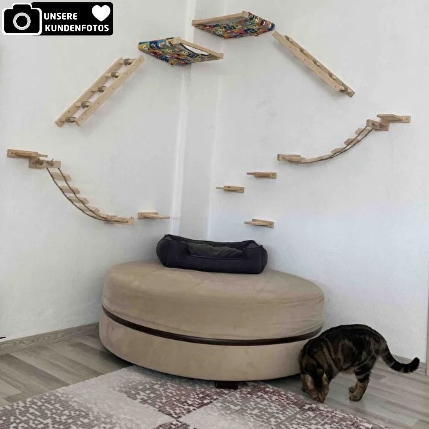 Hängematte & Leiter für Katzen 4x Designs