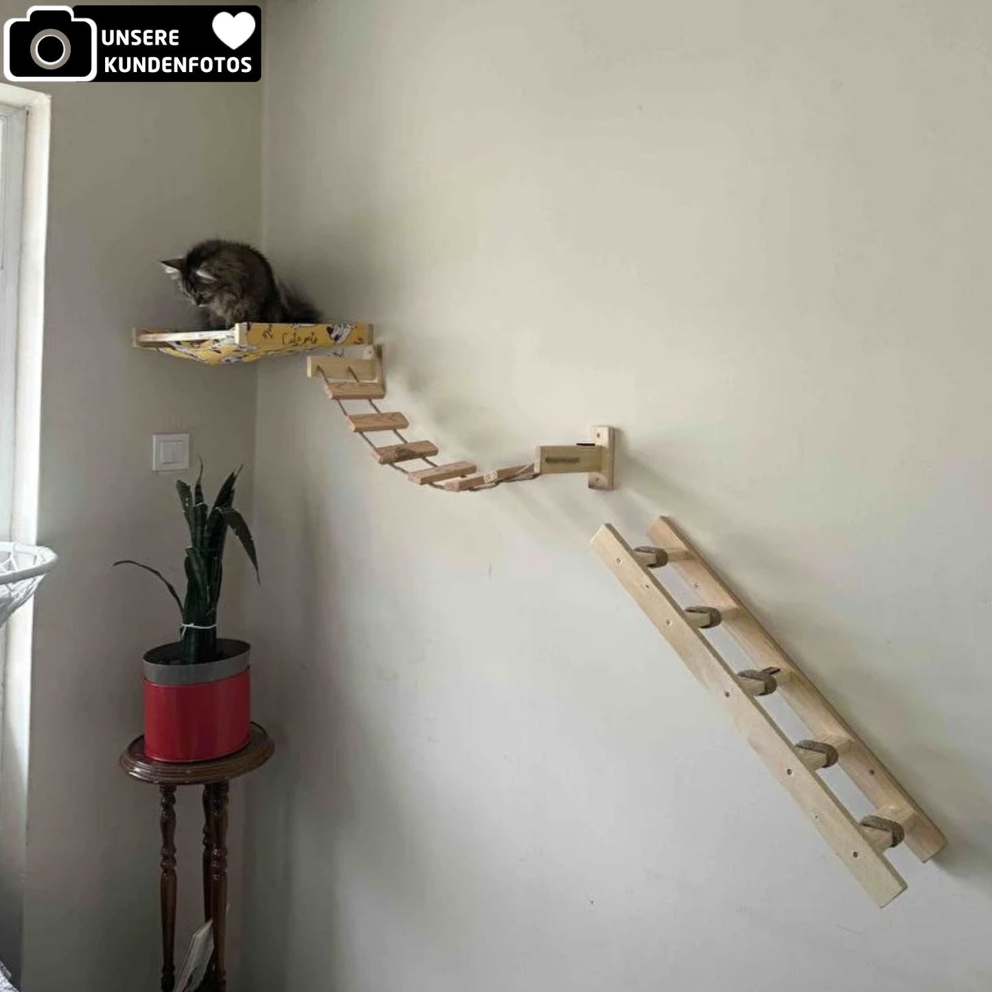 Hängematte & Leiter für Katzen 4x Designs