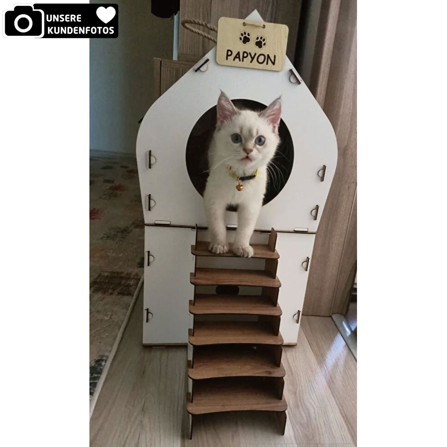 XXL Katzenhaus
