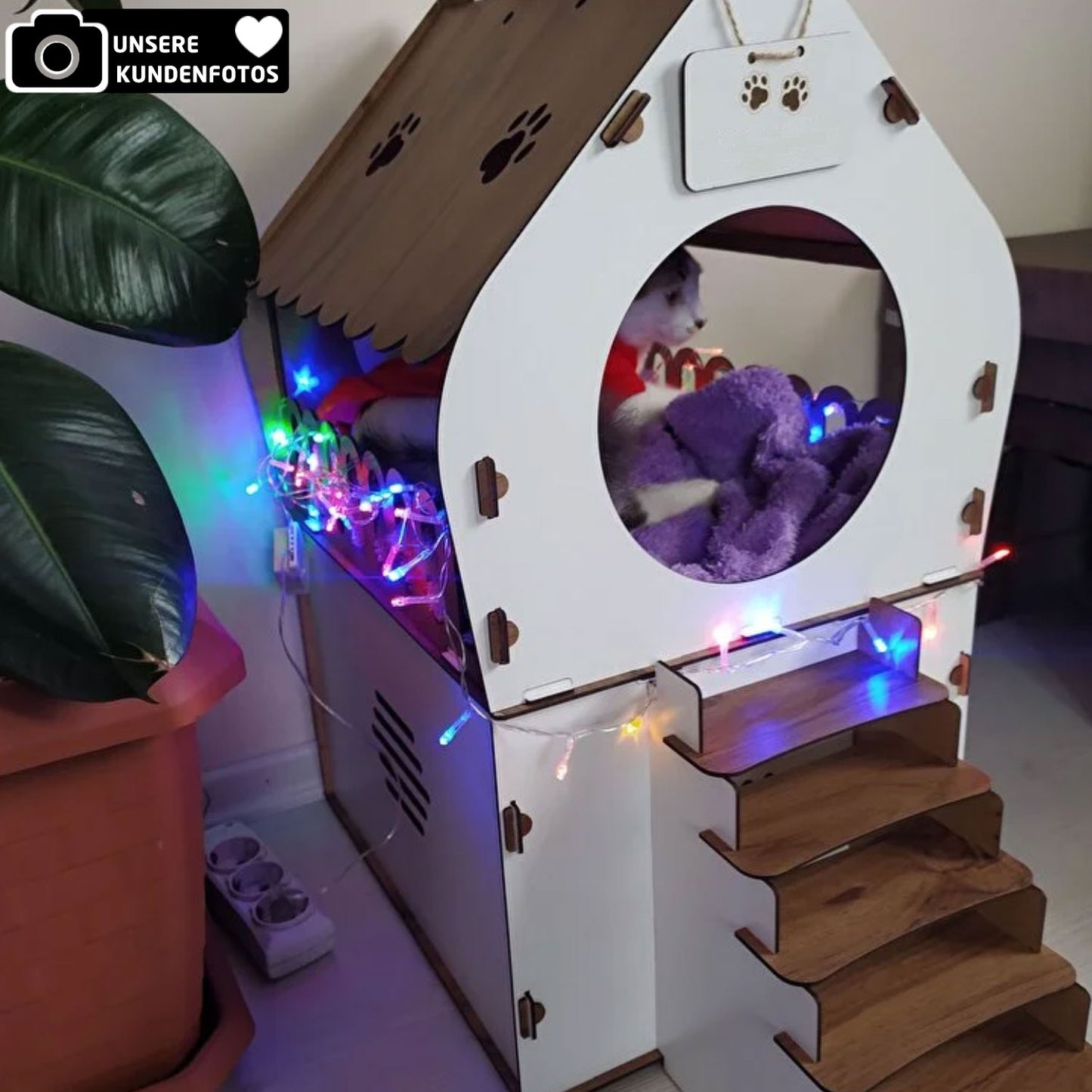XXL Katzenhaus