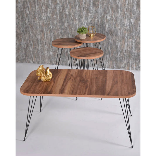 Couchtisch Set Wood 4-Teilig