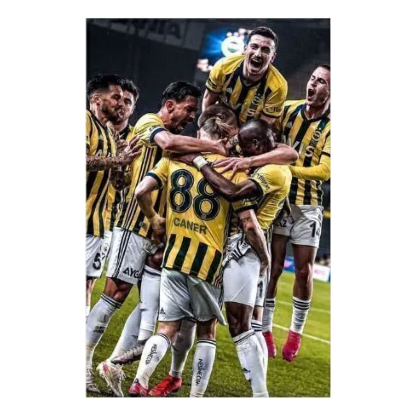 Fenerbahce Wandbild Set 6-Teilig Fan-Edition