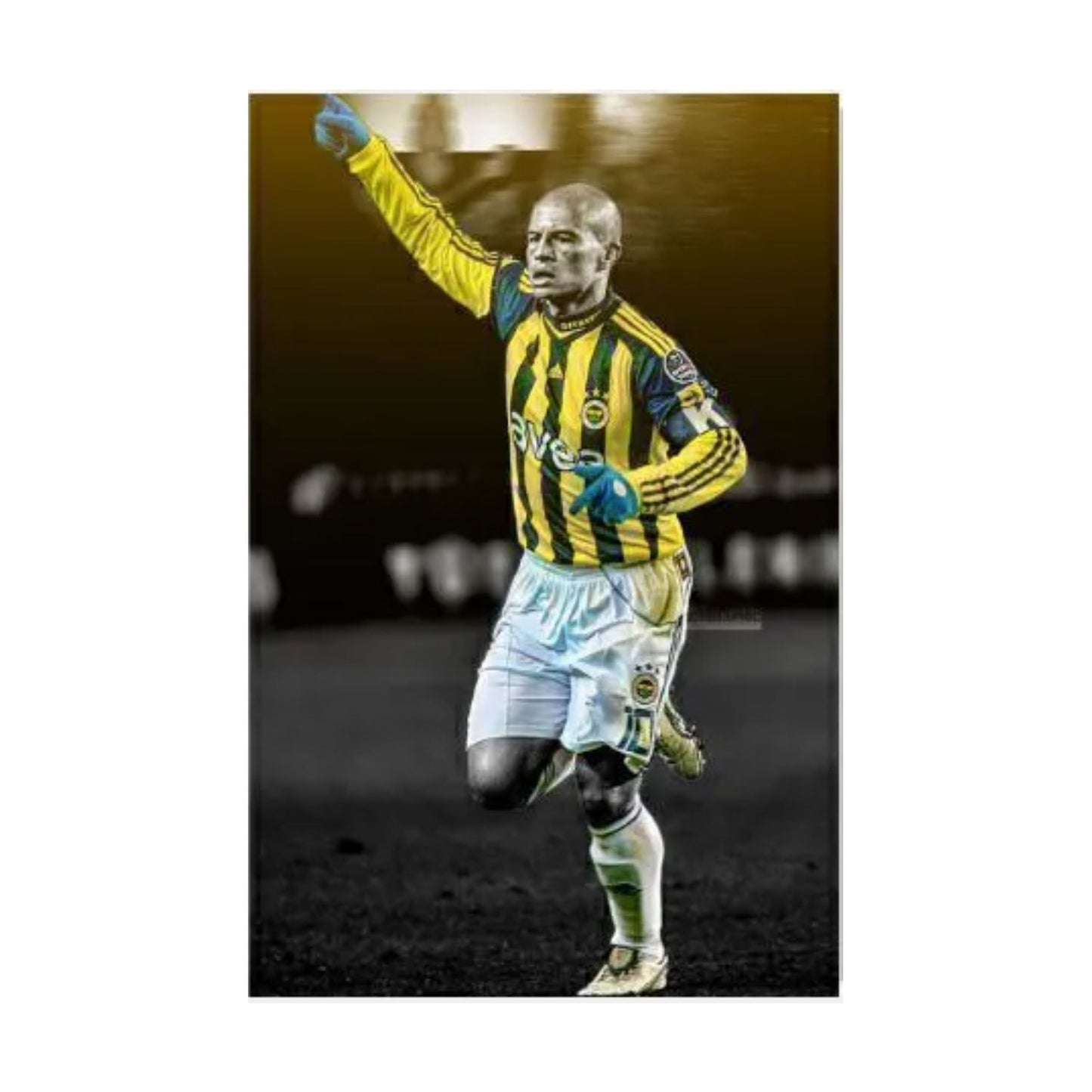 Fenerbahce Wandbild Set 6-Teilig Fan-Edition
