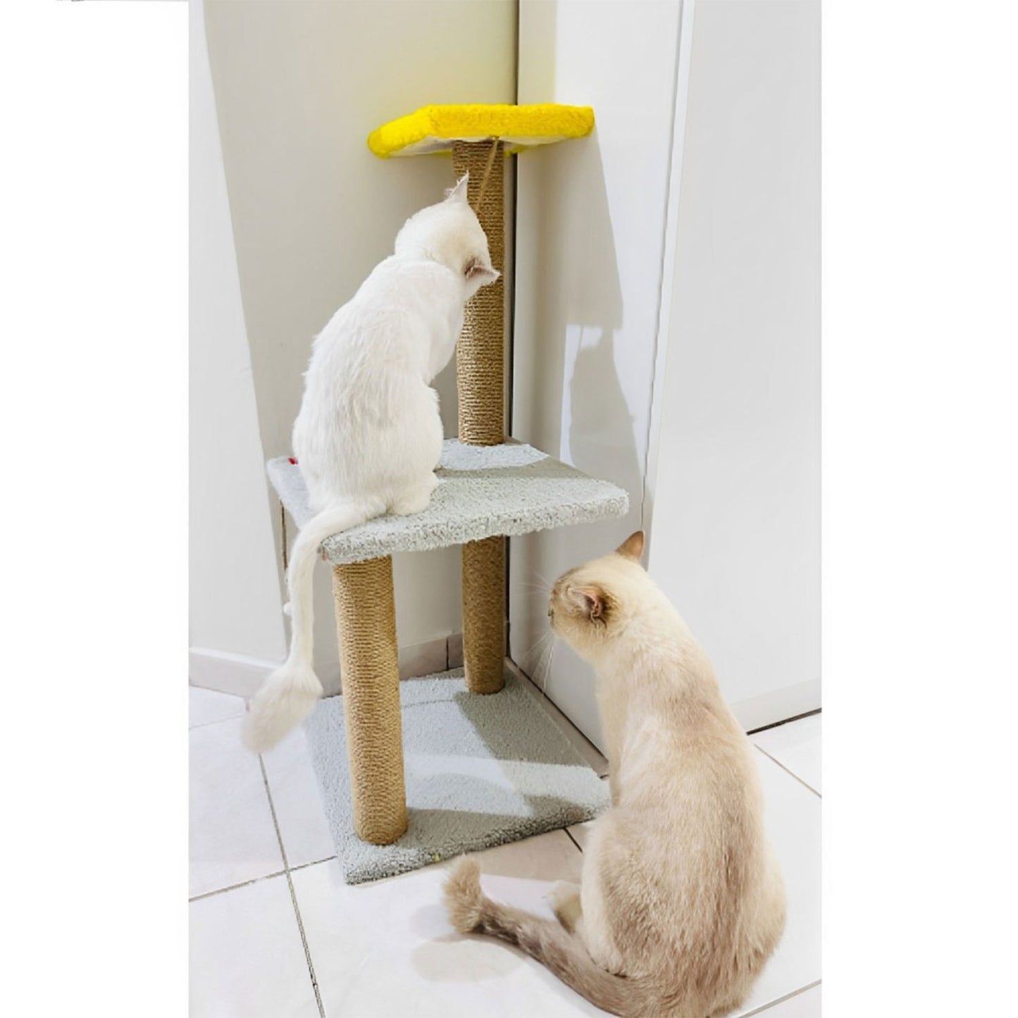 XL Katzen Kratzbaum Liegebaum 82cm