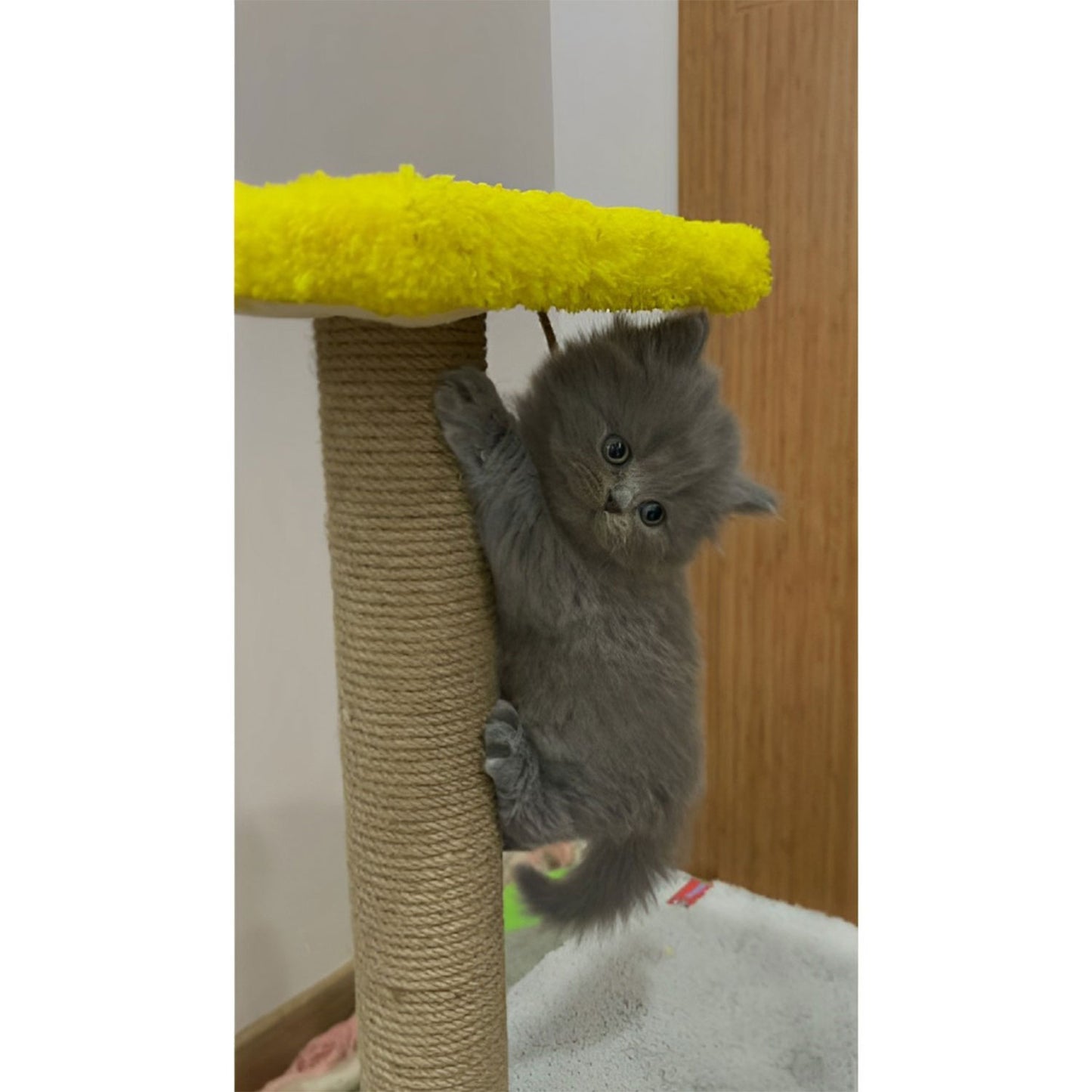 XL Katzen Kratzbaum Liegebaum 82cm